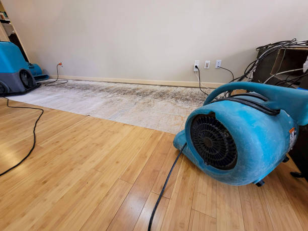 Professional Emergency Water Damage technician working in Wellington, UT